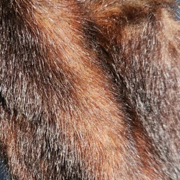 💋🦋UBER GORGE🦋 💋Maxi Sanded Dark Wash DenimTrench with Vegan Mink Fur Collar - Picture 9 of 10